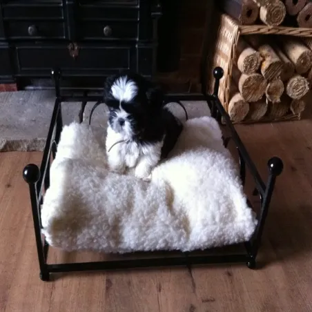 Dog / cat bed with fleece cushion