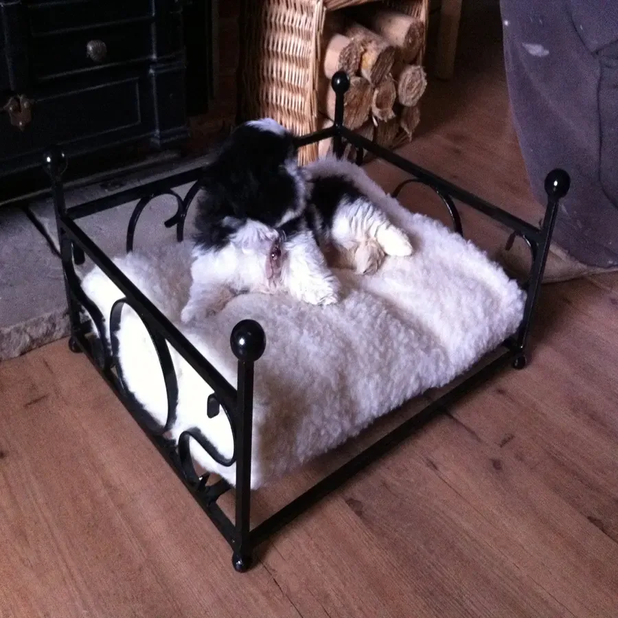 Wrought iron small dog or cat bed with cushion metal frame handcrafted