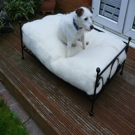 Dog bed Wrought iron queenie large deluxe dog bed with cushion Wimborne wrought iron works
