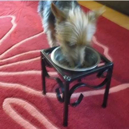 Raised dog bowl holder / feeding station 5in