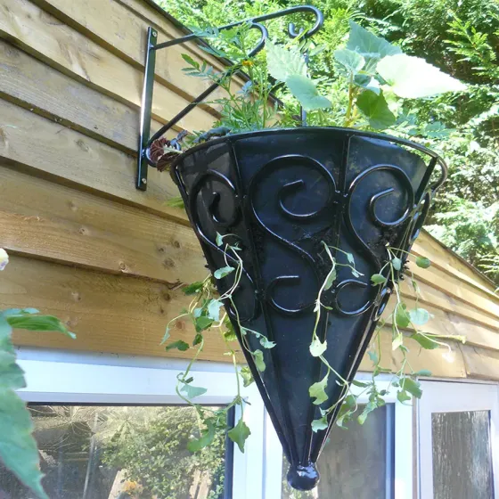 Wrought iron cone hanging basket with bracket