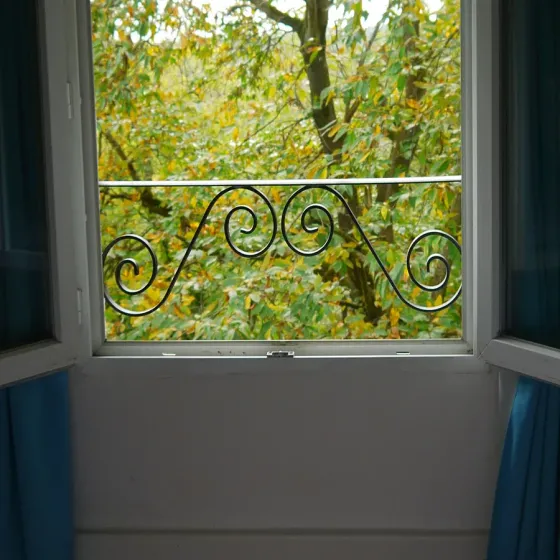 Window guards for French villa